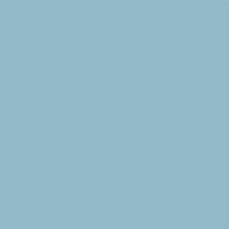 YOUR COLOR YC 85;