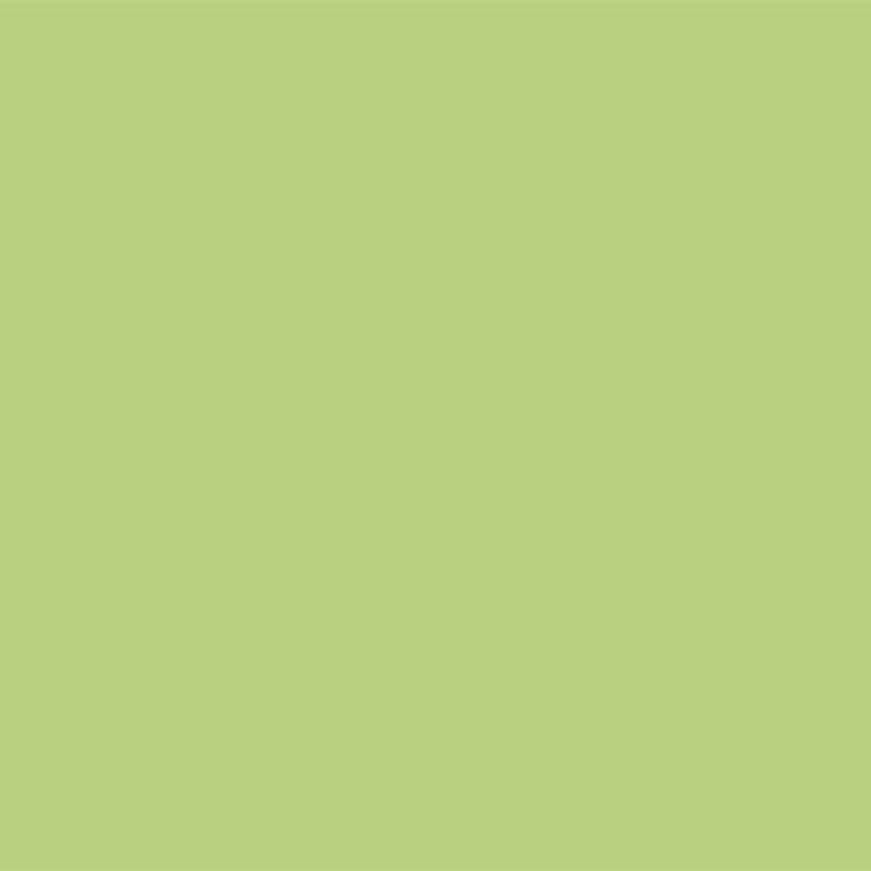 YOUR COLOR YC 93;