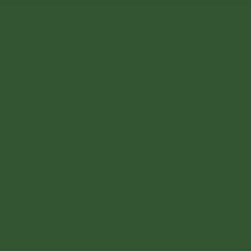 YOUR COLOR YC 97;