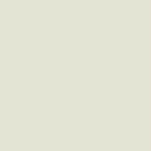 YOUR COLOR YC 05;