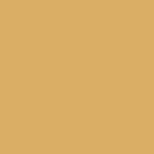 YOUR COLOR YC 16;