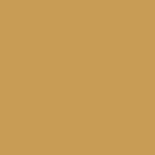 YOUR COLOR YC 17;