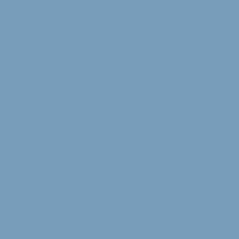 YOUR COLOR YC 33;