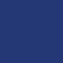 YOUR COLOR YC 39;