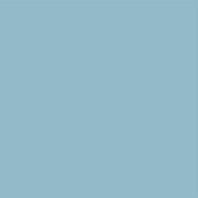 YOUR COLOR YC 85;
