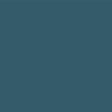YOUR COLOR YC 88;