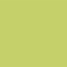 YOUR COLOR YC 92;
