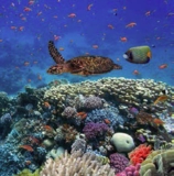 Панно Коралловый риф; 5 элементов=3,95м2 ЛАК (0,375 х 2,10м; 1,88 х 2,10м р-р панно)- цена за 1 м2 - 2000,00