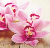 Панно Королевские орхидеи; 5 элементов=3,95м2 ЛАК (0,375 х 2,10м; 1,88 х 2,10м р-р панно)- цена за 1 м2 - 2000,00